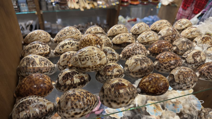 Painted cowrie shell souvenirs
